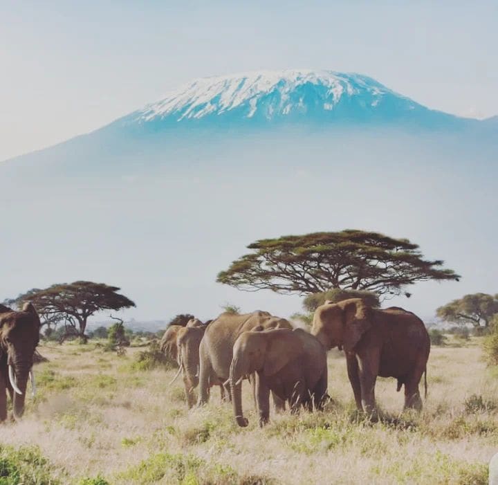 Mount Kilimanjaro