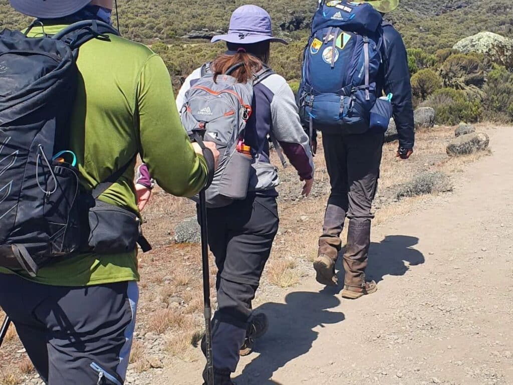 Hike Mt Kilimanjaro