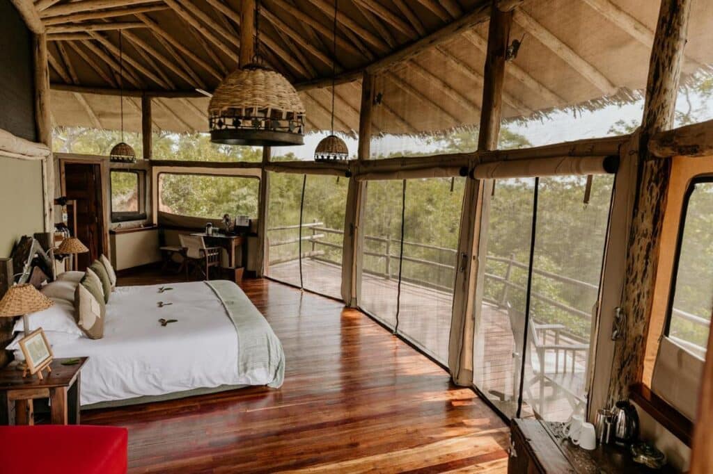 Safari Accommodation Options