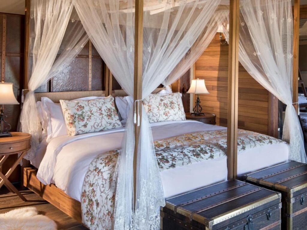 Safari Accommodation Options