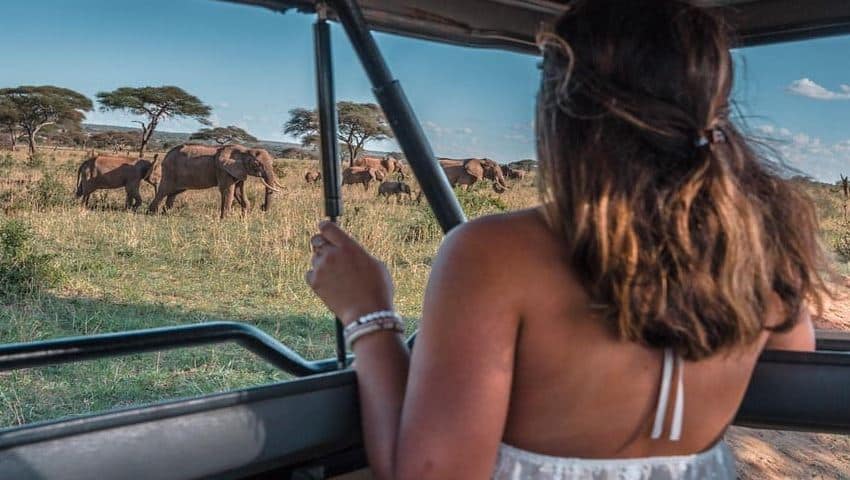 Choosing the Right Safari Package