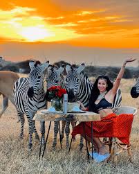 Safaris in Africa