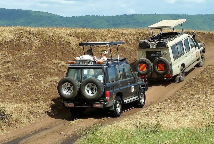 Ngorongoro, Manyara, Tarangire, and Serengeti